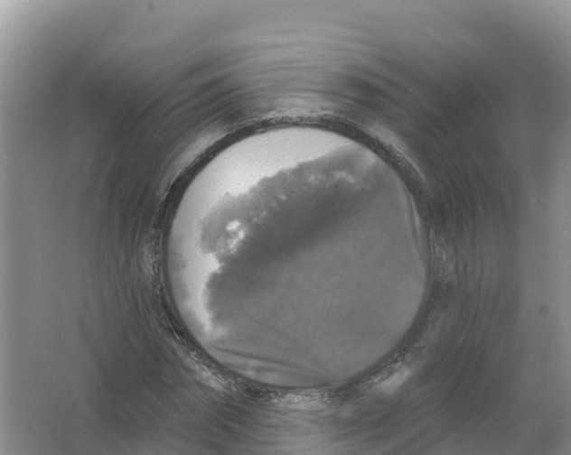 X0000066970874200604142138