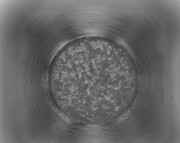 X0000066970875200604142138