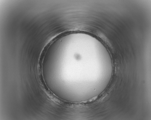 X0000066970876200604142138