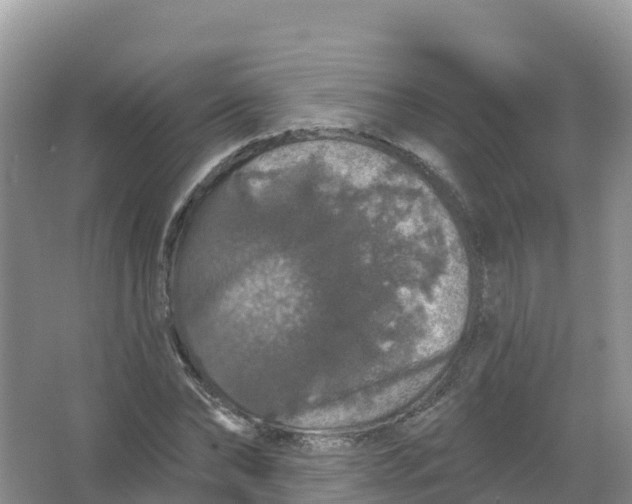 X0000066970878200604142138