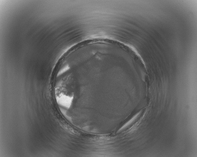 X0000066970879200604142138