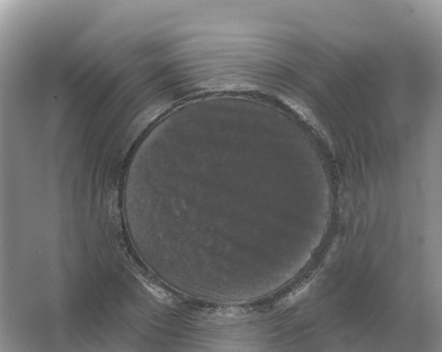 X0000066970881200604142138