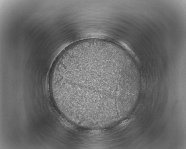 X0000066970883200604142138