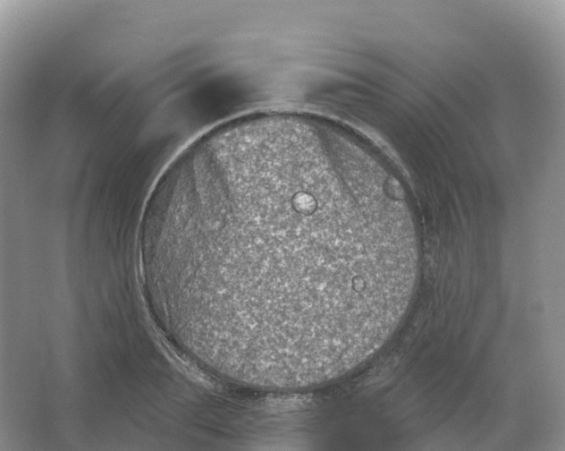 X0000066970887200604142138