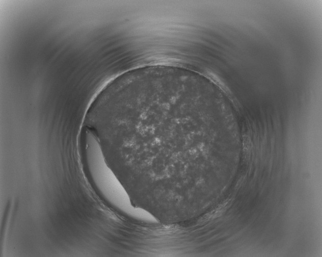 X0000066970891200604142138