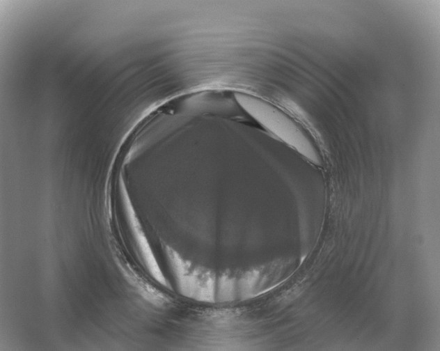 X0000066970892200604142138