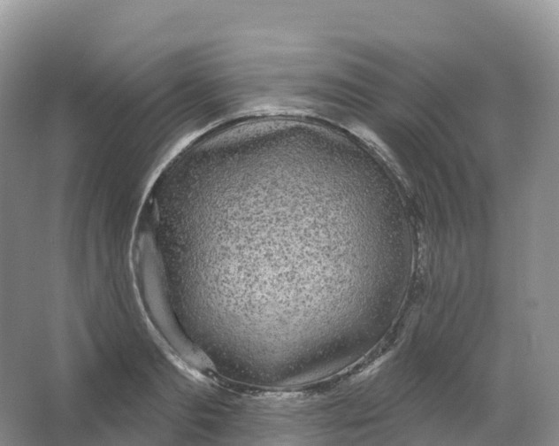 X0000066970893200604142138