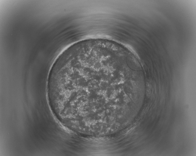 X0000066970895200604142138