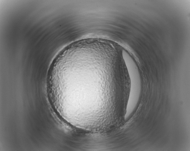 X0000066970896200604142138