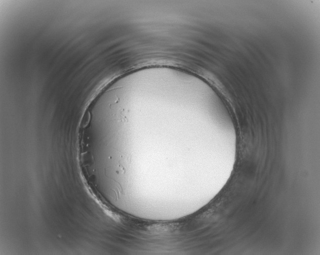 X0000066970898200604142138