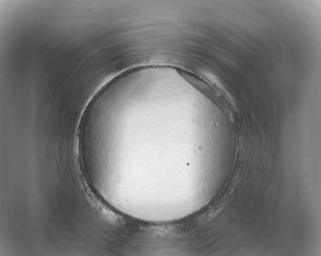 X0000066970900200604142138