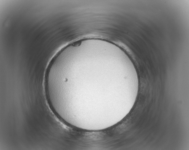 X0000066970902200604142138