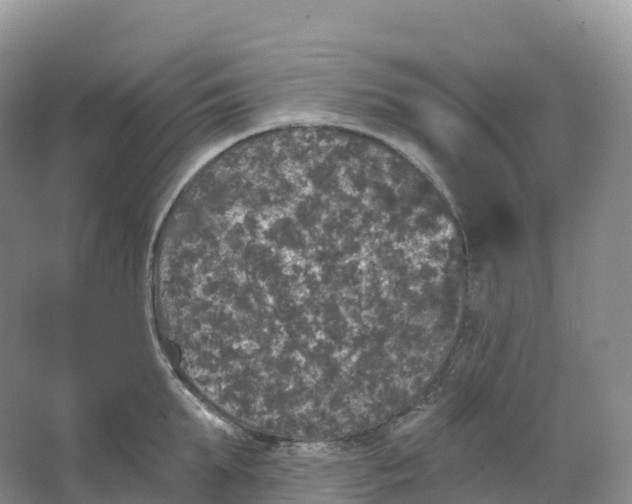 X0000066970903200604142138