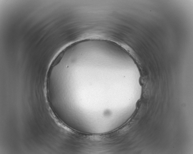 X0000066970904200604142138