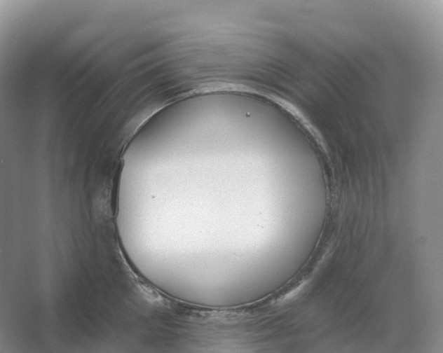 X0000066970905200604142138