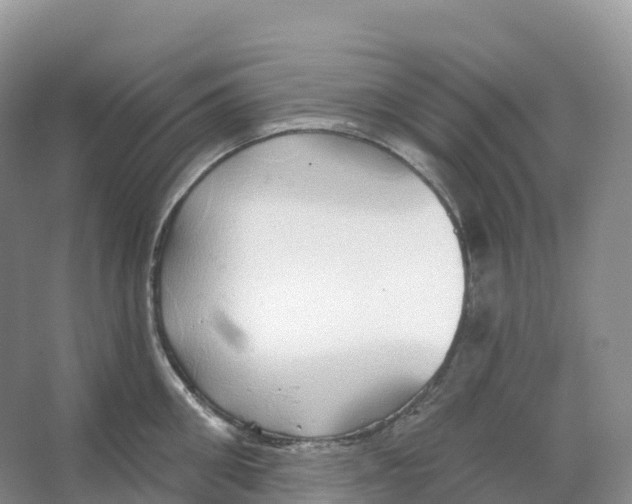 X0000066970906200604142138