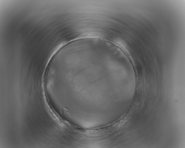 X0000066970907200604142137