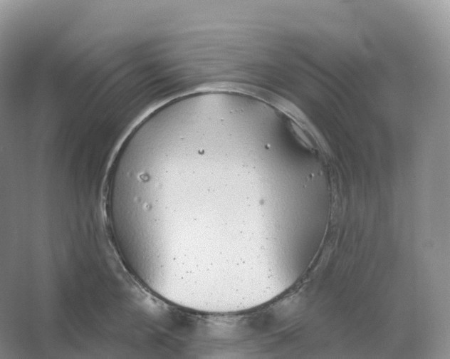 X0000066970908200604142137