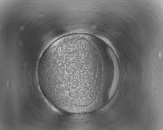 X0000066970910200604142137