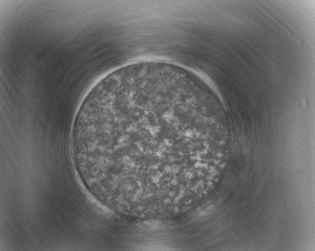 X0000066970911200604142137