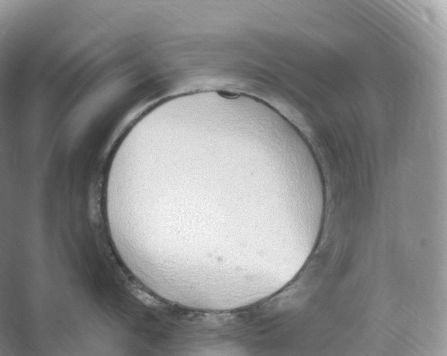 X0000066970912200604142137