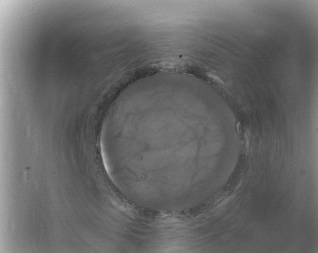 X0000066970913200604142137