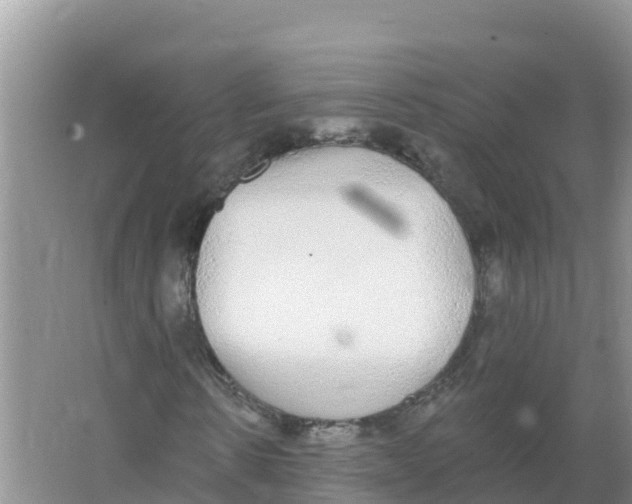 X0000066970914200604142137