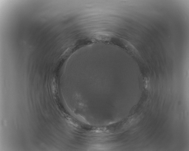 X0000066970915200604142137