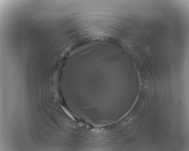 X0000066970916200604142137