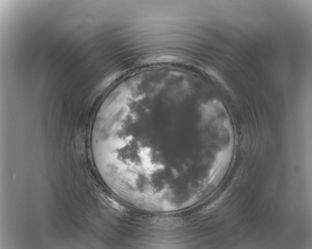 X0000066970921200604142137