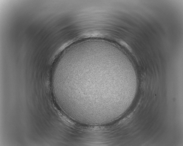 X0000066970922200604142137