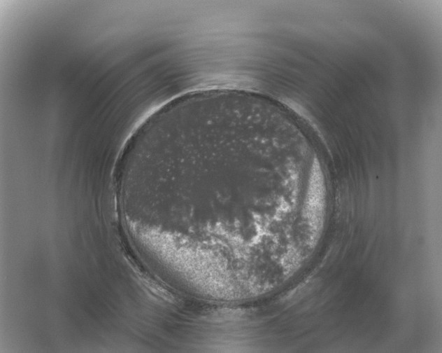 X0000066970925200604142137