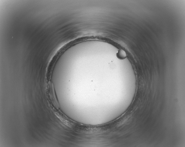 X0000066970927200604142137