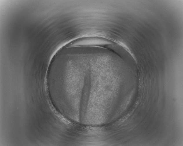 X0000066970928200604142137