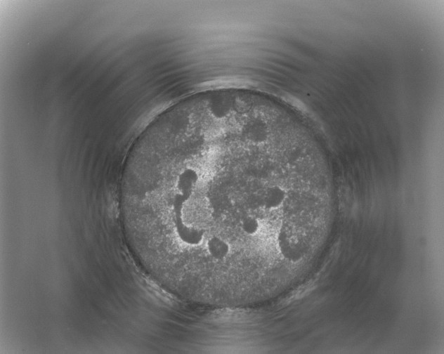 X0000066970929200604142137