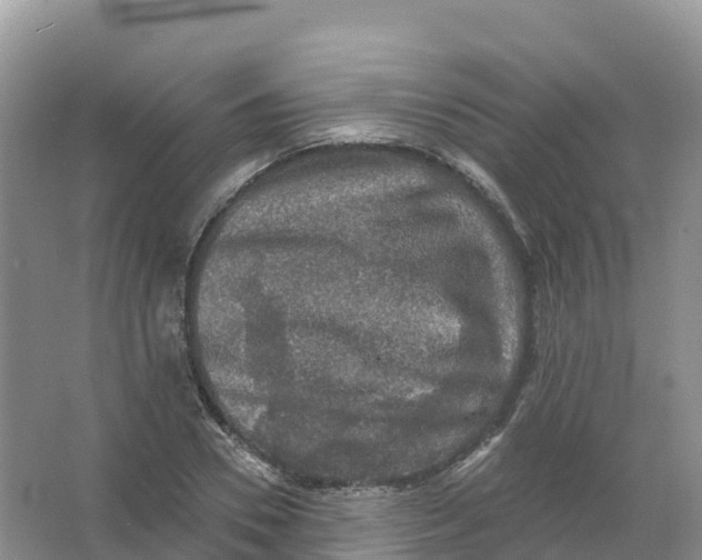 X0000066970930200604142137