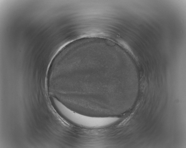 X0000066970932200604142137