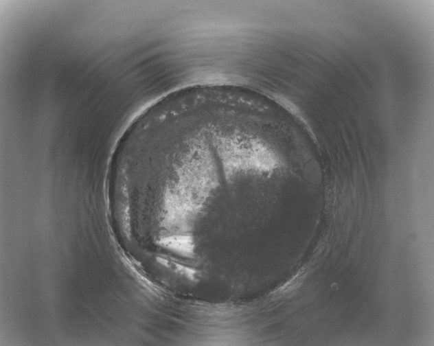 X0000066970935200604142137