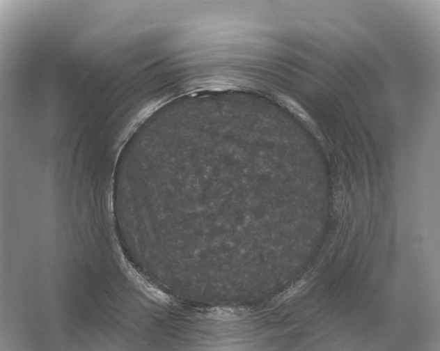 X0000066970938200604142137