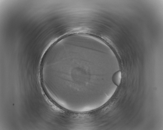 X0000066970941200604142137