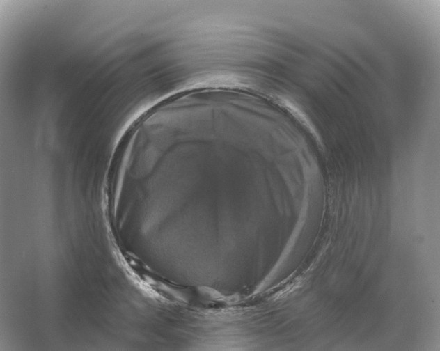 X0000066970944200604142137