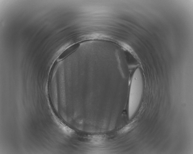 X0000066970946200604142137