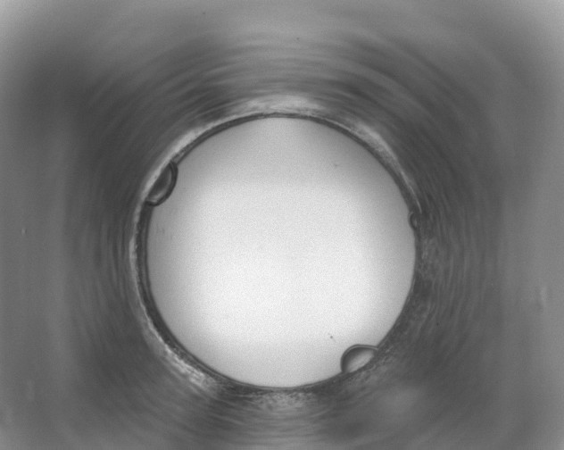 X0000066970947200604142137