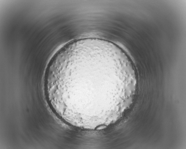 X0000066970949200604142137