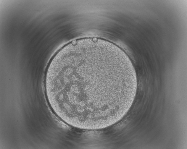 X0000066970950200604142137