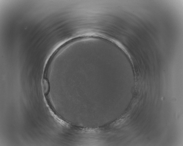 X0000066970951200604142137