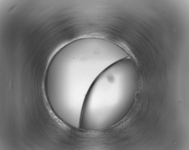 X0000066970952200604142137