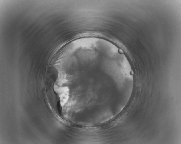 X0000066970953200604142137