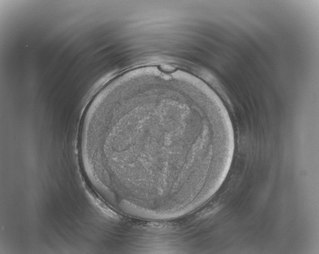 X0000066970954200604142137