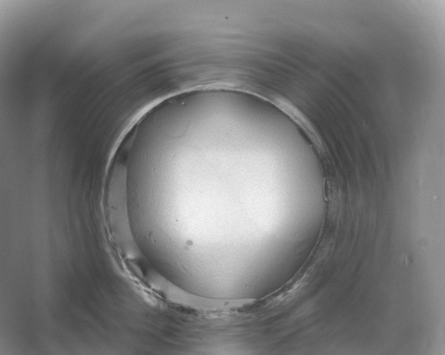 X0000066970956200604142137